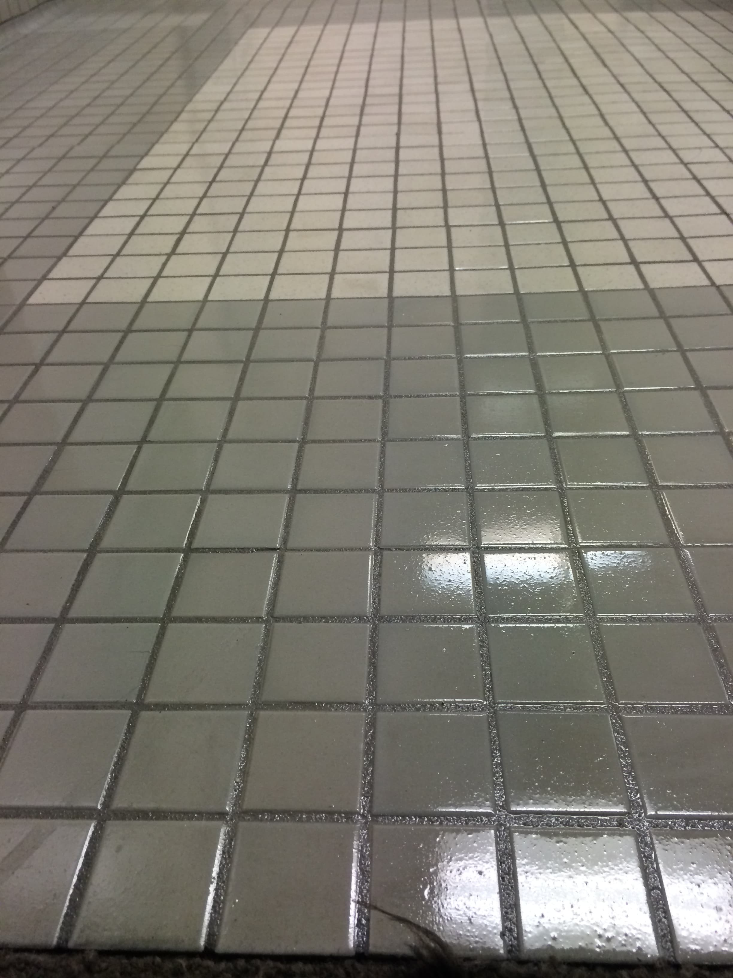 Commercial Floor Project