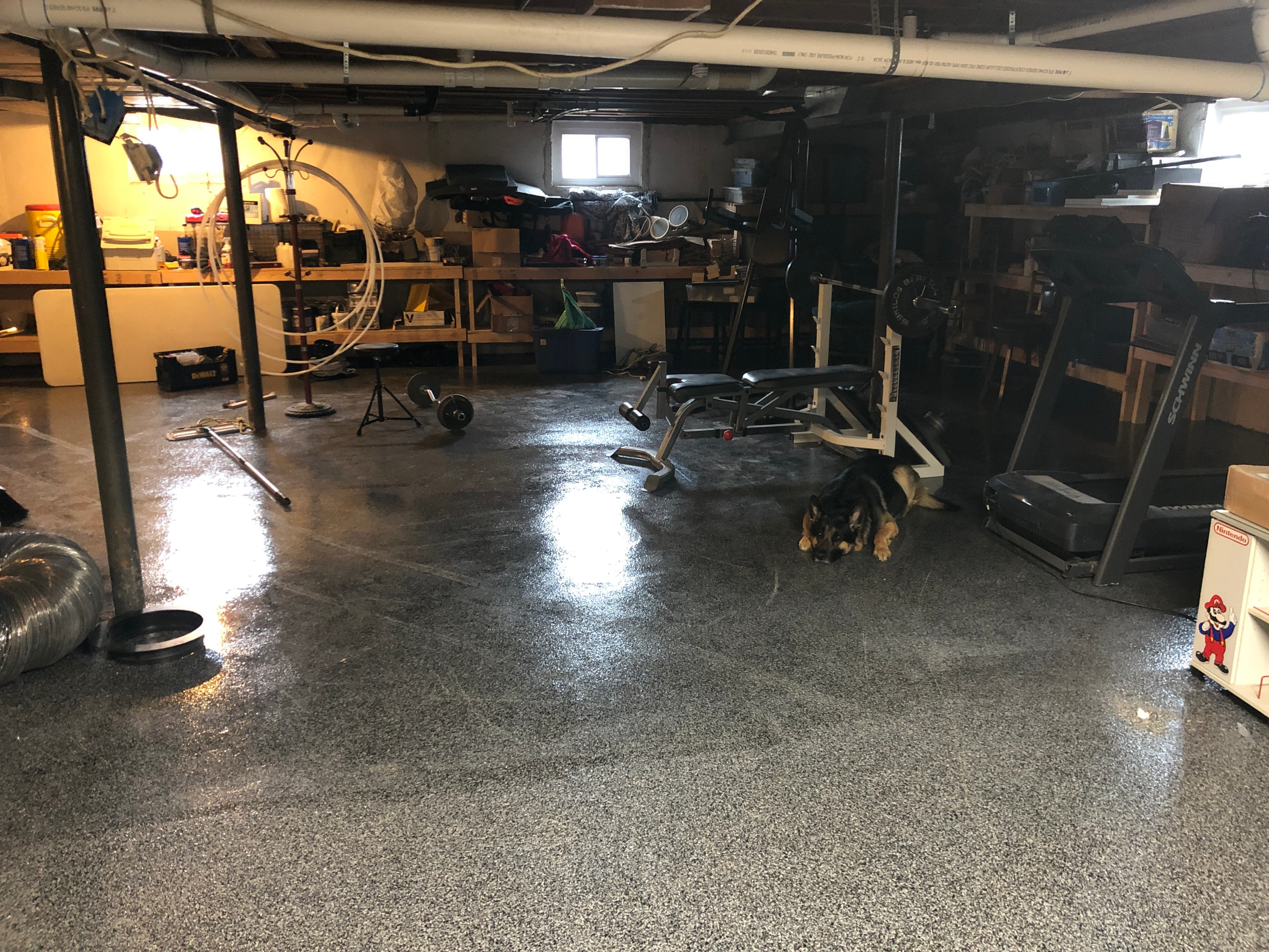 Workshop Concrete Polish